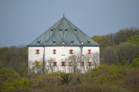 Mohyla na Bílé Hoře