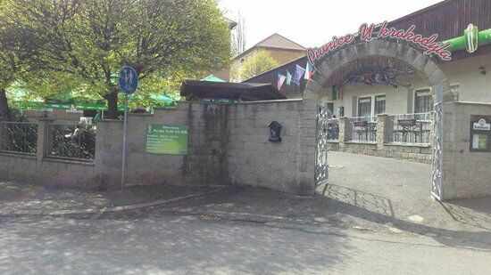 Krokodyl