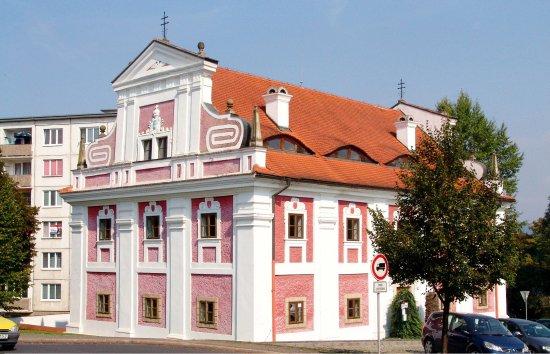 Vegetariana Louny