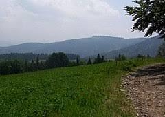 Kyčera