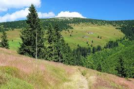 Zadní Planina