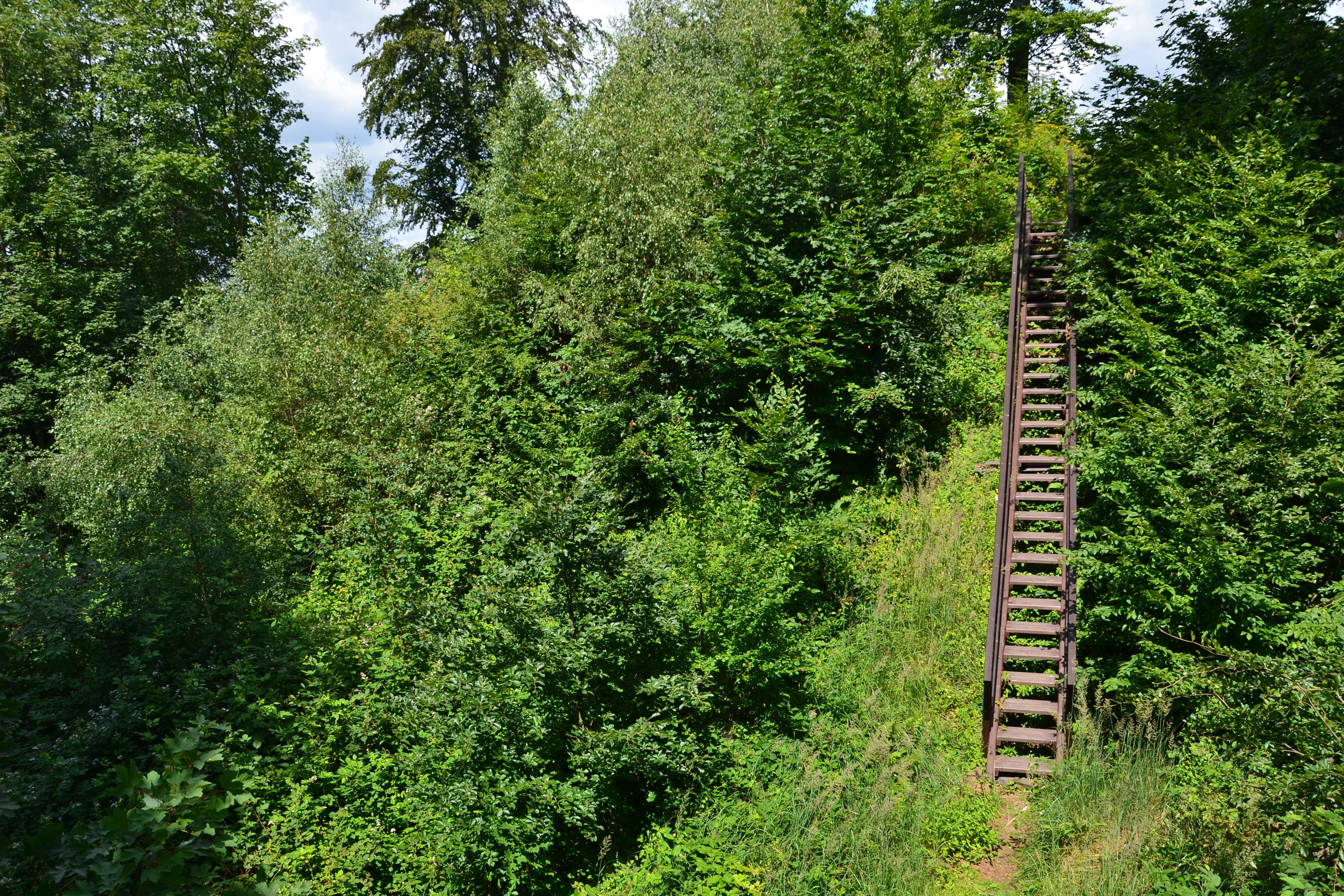 Velešov