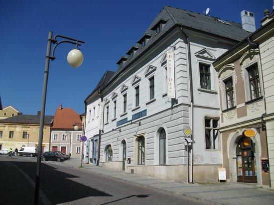 Restaurant Mincovna