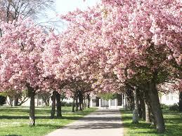Park Výstaviště MB