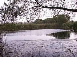 Mikulovické jezero