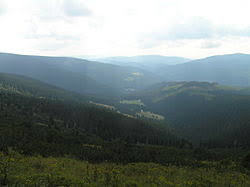Lesní hora