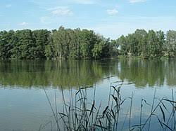 Bohumilečský rybník