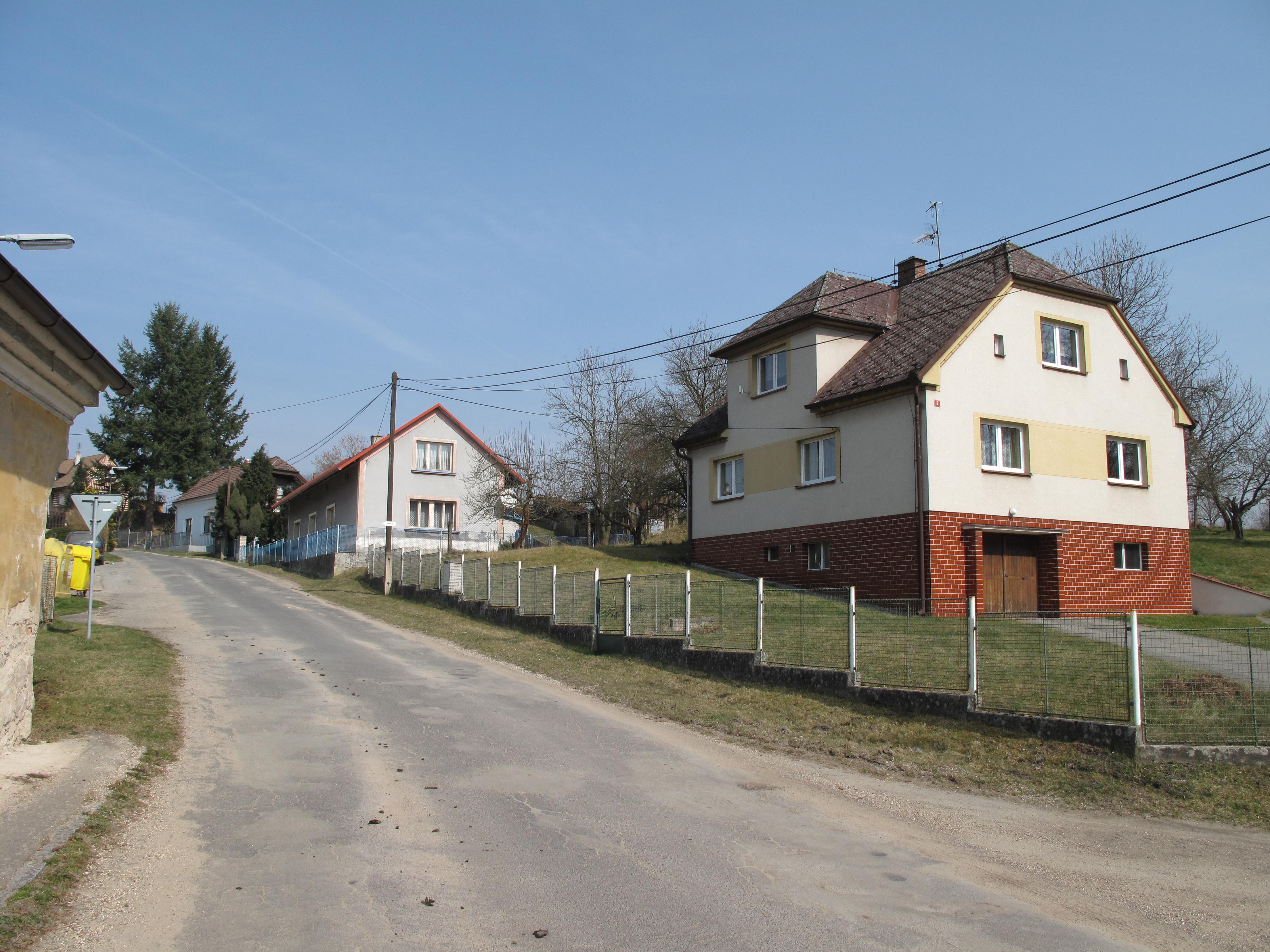 Borovice