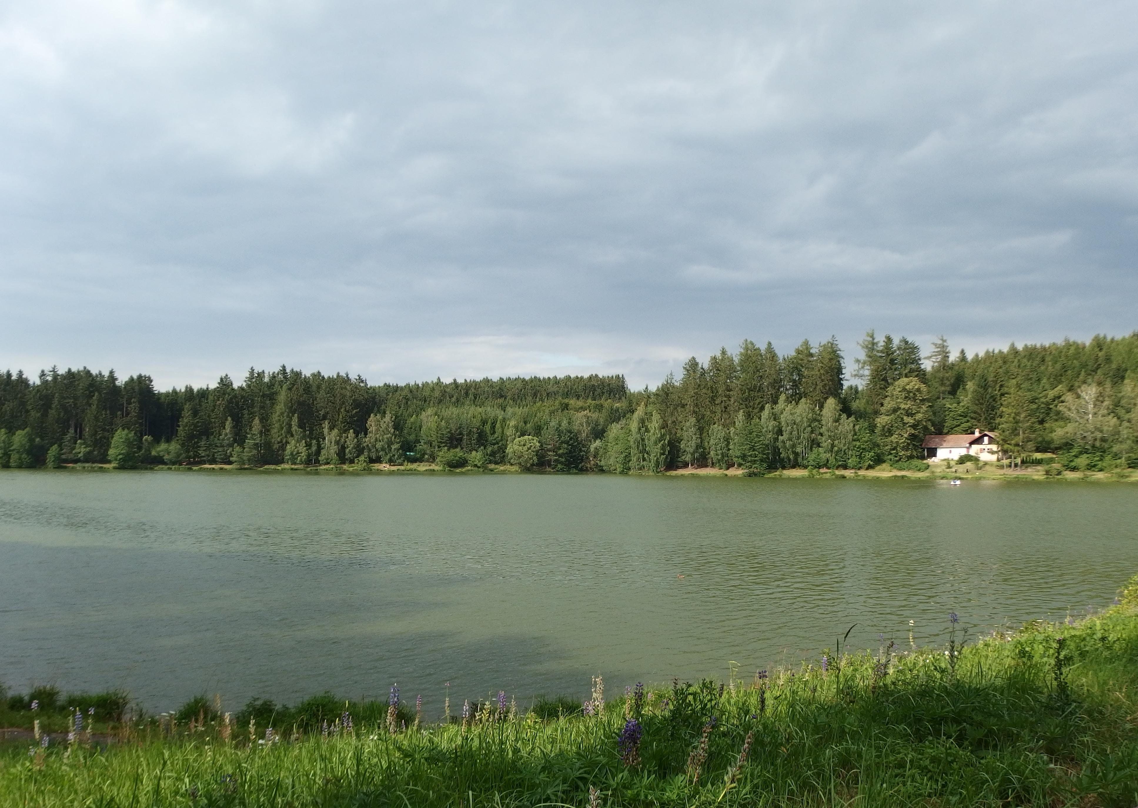 Domanínský rybník