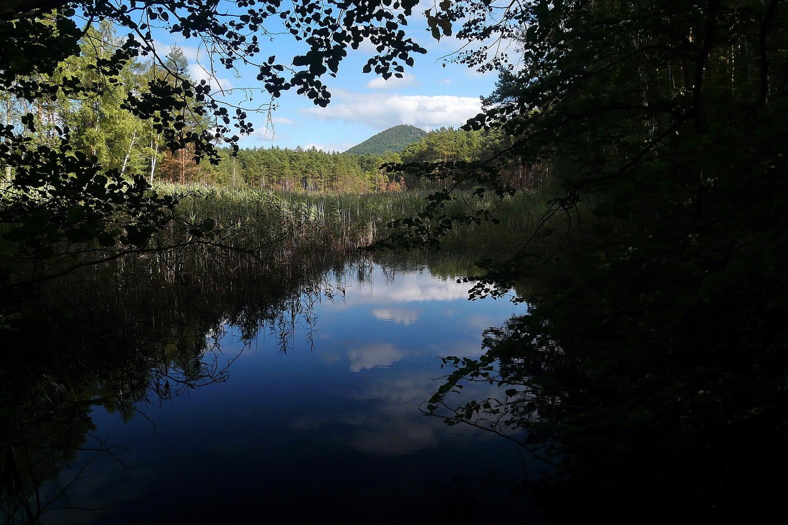 Mariánský rybník