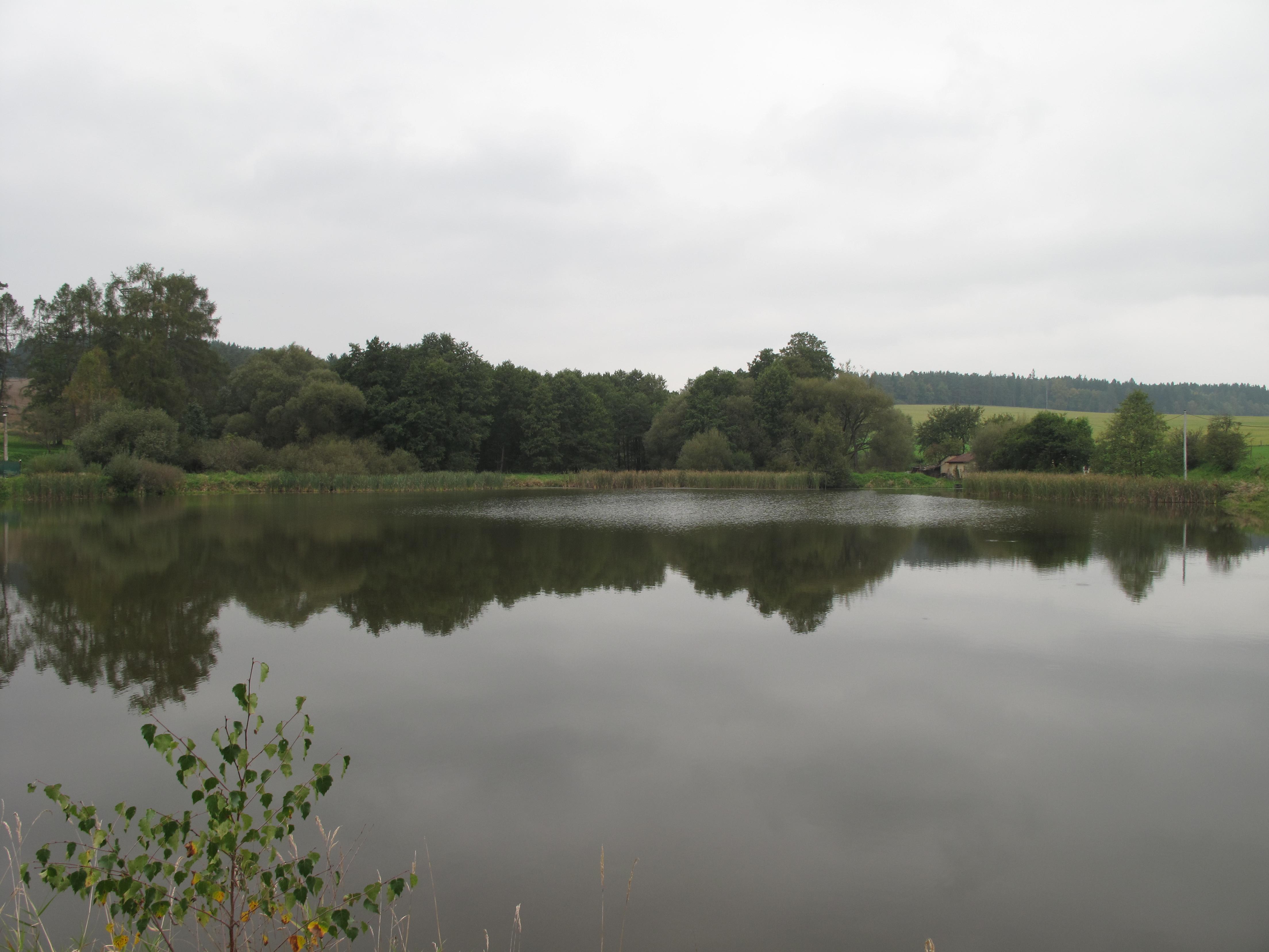 Vestecký rybník