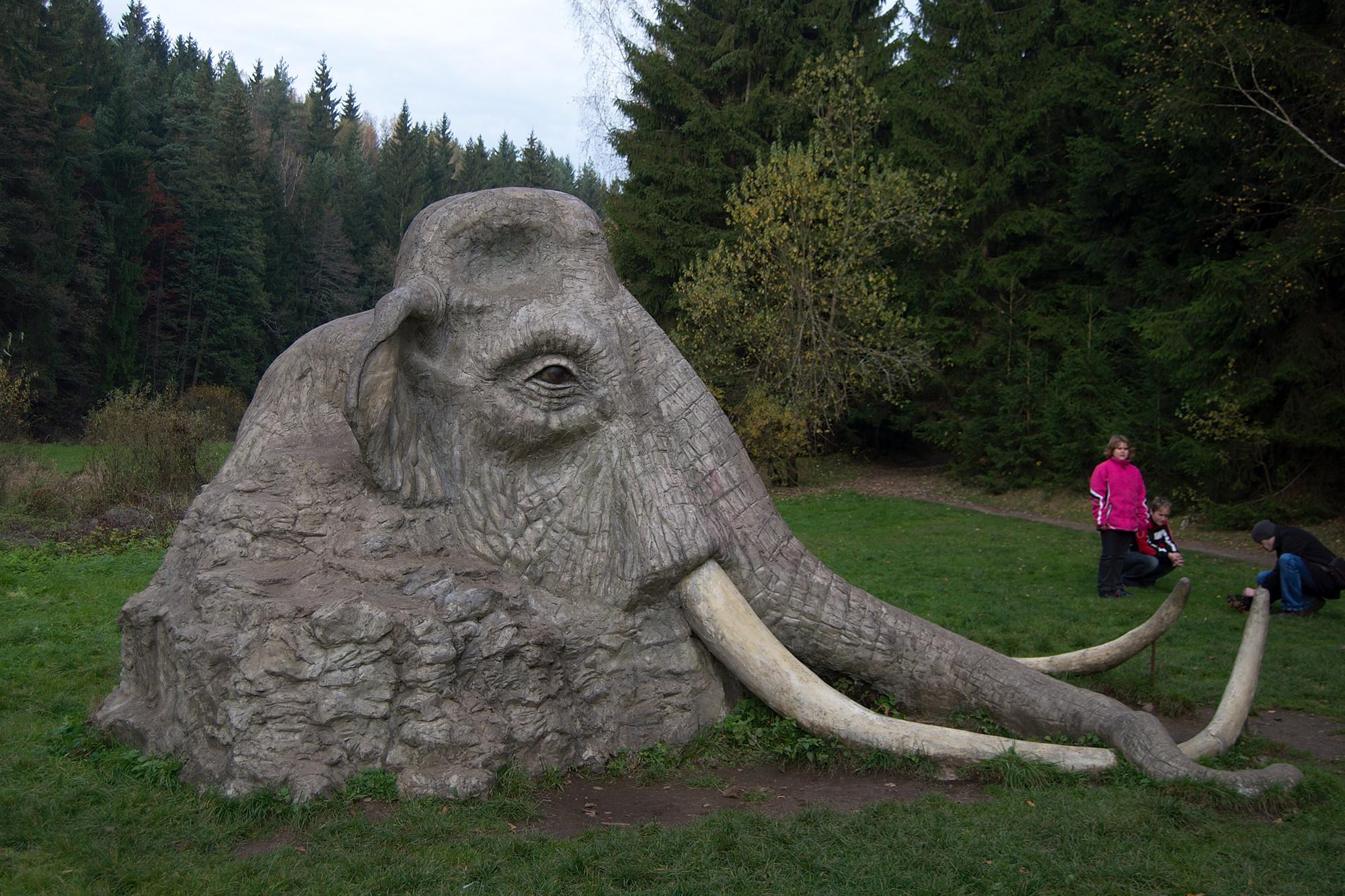 Mamut