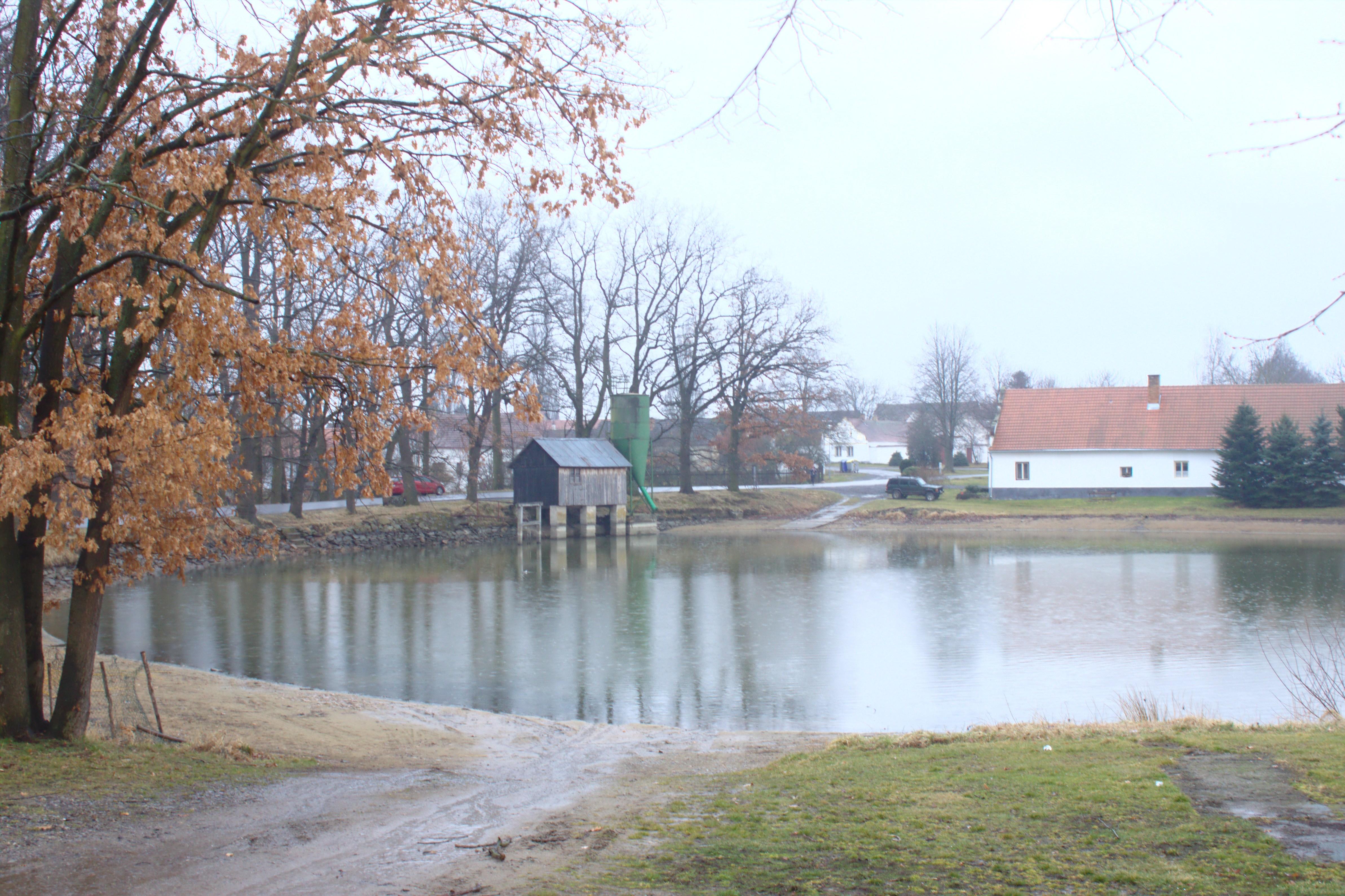 Vlhlavský rybník