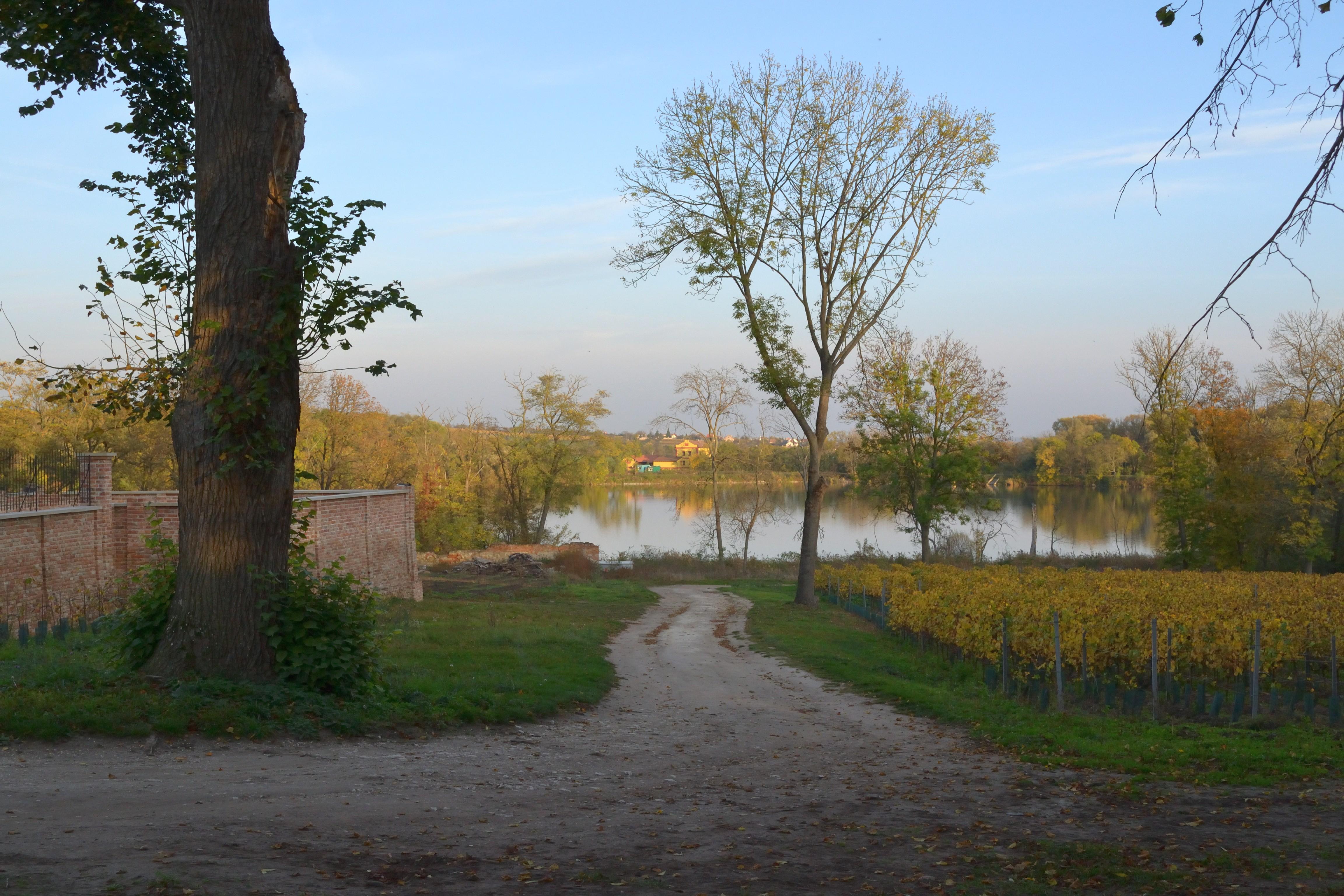Nový rybník