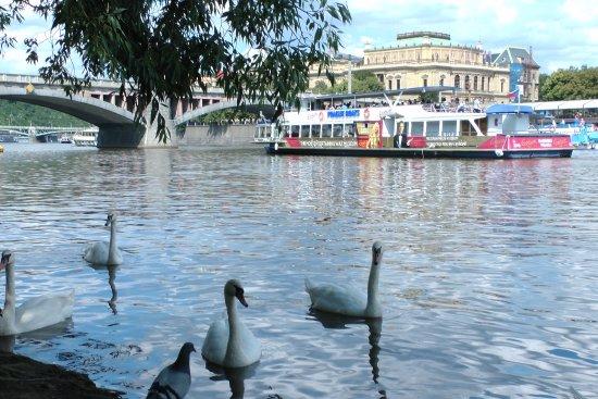Vltava Beach