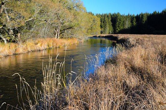 Fly Fishing