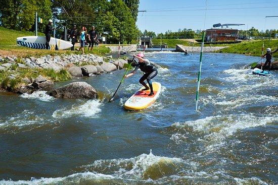 Pujcovny Paddleboards