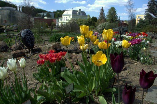 Botanická zahrada v Teplicích