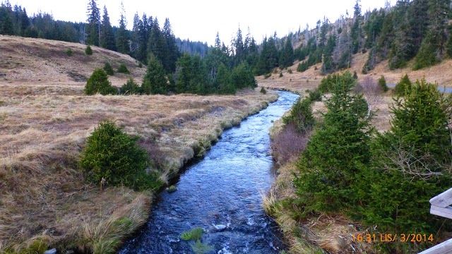 Národní park Šumava