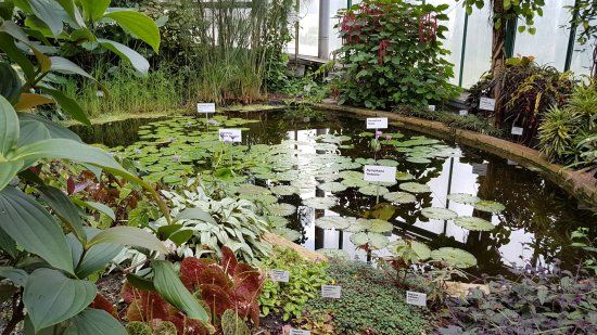 Botanická zahrada Liberec