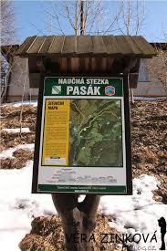 Pasák