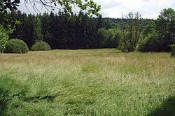 Podlesí