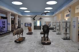 Africké muzeum Dr. Emila Holuba