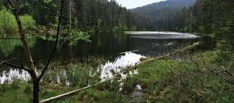 Česká vysočina