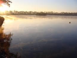 Svět
