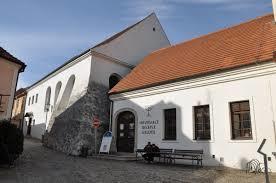 Zadní synagoga