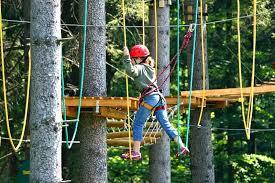 Horsky Lanovy Park Tarzanie