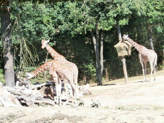 Zoologická zahrada Brno