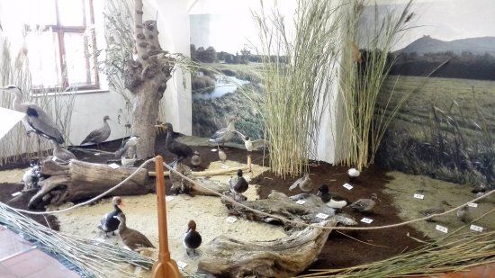 Expozice Věk Lovců a Mamutů
