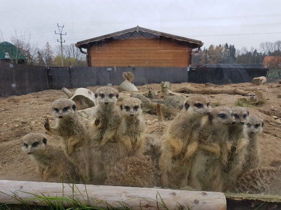 ZOO Tábor